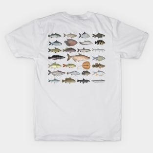 Southeast Asia Freshwater Fish Group T-Shirt